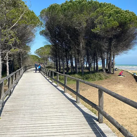 Embrace The Life In Our Functional * Bibione