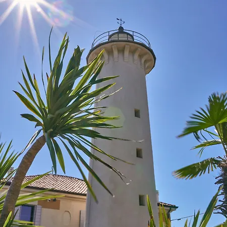 Embrace The Life In Our Functional